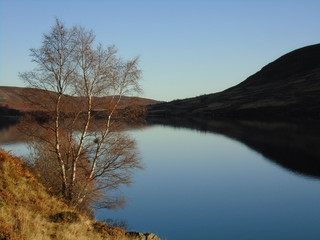 Reflection 
