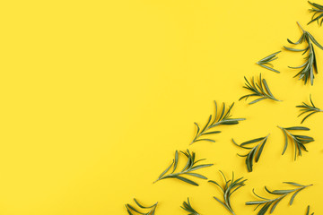 Flat lay composition with fresh rosemary on yellow background. Space for text