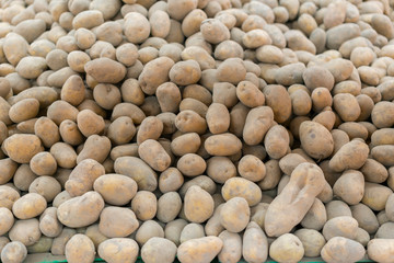 potatoes on a market. Fresh organic young potatoes. Pile of potatoes stored in cellar. Harvest potatoes lies in cellar. Agricultural products. Big heap of fruits of potatoes