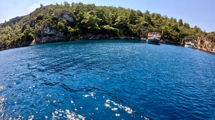 wide angle, forest and sea meet, blue sky