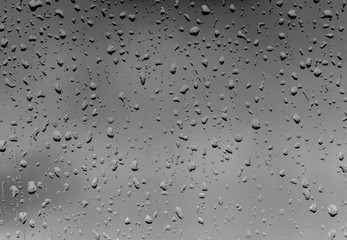 Rain Drops on Window