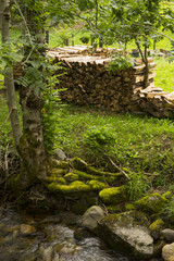 Fototapeta premium Tas de bois coupé. Pile of cut wood.