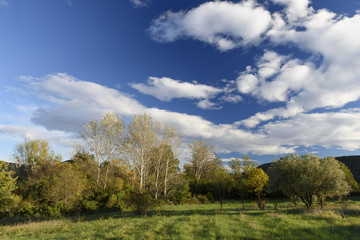 Ciel bleu pur avec des nuages blancs. Pure blue sky with white clouds