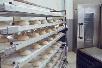 Obraz na płótnie Canvas Raw bread on trays before baking at the bakery.