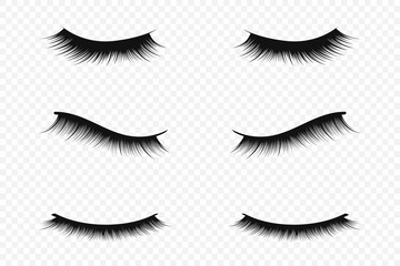 Eyelash extension concept. Lush black eyelashes on transparent background for makeup and cosmetic industry