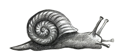 Cute snail cartoon Set of funny ethnic drawings. Drawing by hand, pencil. © Ангелина