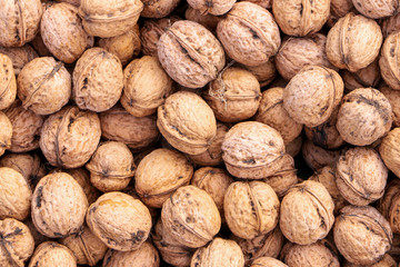 A lot of ripe walnuts. View from above. Close-up.