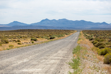 Dirt road running through the middle of the desert and sagebrush