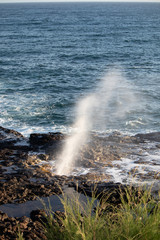 Geyser, ocean, spout 
