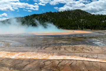 Geysir in the grand prismatic spring area in the Yellowstone National Park.