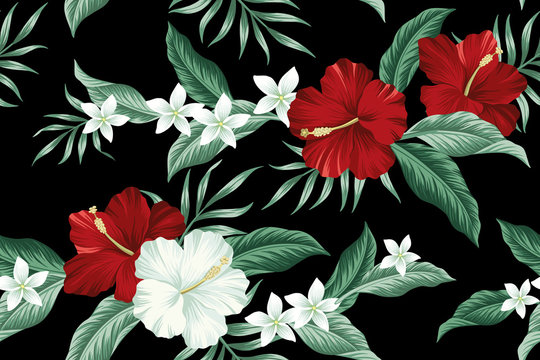 Fototapeta Tropical Hawaiian vintage flower red hibiscus and white plumeria floral green palm leaves seamless pattern black background. Exotic jungle wallpaper.