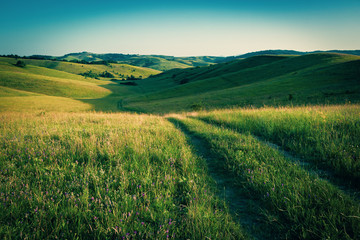 Grassland landscape among small hills. Eastern europe