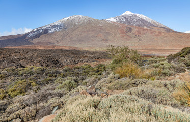 Mount Teide National Park in Tenerife, Spain
