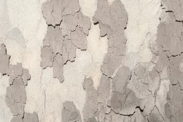 Crédence de cuisine en verre imprimé Vieux mur texturé sale écorce de texture d& 39 arbre