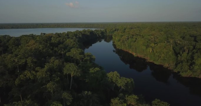 The Rio Negro forms the largest river archipelogues in the world in Anavilhanas National Park, in the middle of the Amazon rainforest. Amazonas, Brazil