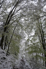 Spring snow in the Dolomites