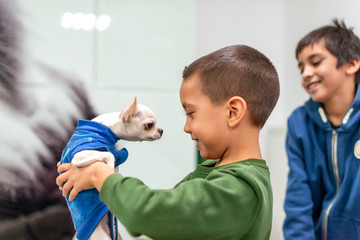 Shot of a little boy  holding a Chihuahua dog in his hand and looking at each other