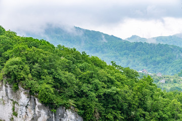 Fog in the dense green forest on the top of the hill