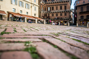 The pavement of Piazza del Campo. Close up. Selective focus. Siena, Tuscany, Italy