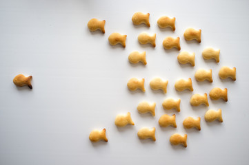 cookie fish on white background