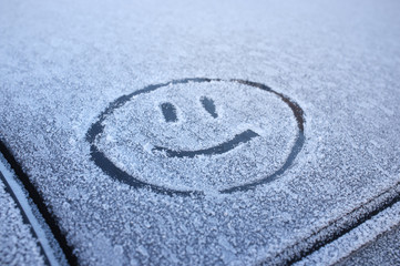 Fototapeta na wymiar the smiley face in the frost
