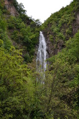 Waterfall among the greenery of the Italian Alps