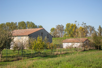 Obraz premium Farm Buildings Near Parma