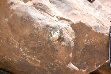 Hiking through red rocks and emerald pools