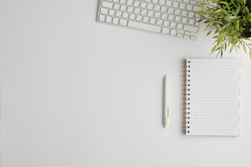 Copyspace for your advert surrounded by pen, computer keypad, notebook and plant