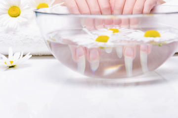 Close-up hands of young woman with natural nails, lowered into plate with healing infusion of chamomile. Concept of healthy hands and nails.  Procedure for treating nails in spa salon.