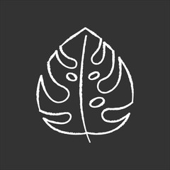 Monstera leaf chalk icon. Evergreen forest vines. Swiss cheese plant. Indonesian jungle palm leaf. Discovering Bali nature. Exploring tropical flora. Isolated vector chalkboard illustration