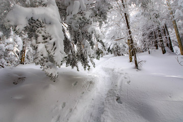 Thomas Cole Mountain Hike