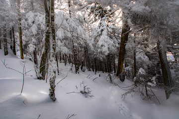 Thomas Cole Mountain Hike