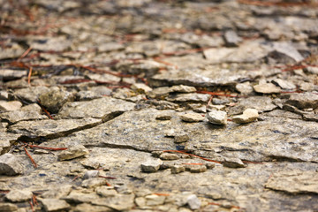 Rocky ground background