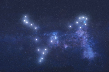 Pisces Constellation stars in outer space. Zodiac Sign Pisces constellation stars. Elements of this image were furnished by NASA  © ALEXANDR YURTCHENKO
