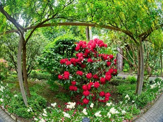 Obraz premium Spring garden