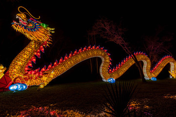 Obraz premium dragon asian lantern