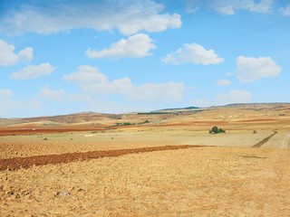 Fototapeta na wymiar Enchanting landscape in the wilaya of Tiaret - Algeria