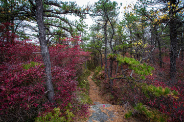 Fototapeta premium Shawangunk RIdge