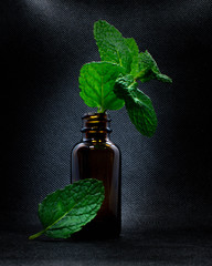 Bright green mint leaf in a brown bottle against a dark background © Victoria_Hunter