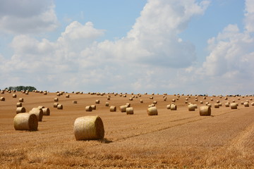 Fototapeta premium Strohballen 2