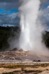 Geyser letting off steam