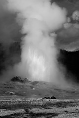 Geyser wit steam