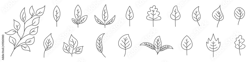 Canvas Prints set of leaves in thin line style. outline leaves