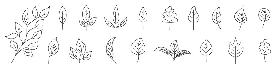 Set of Leaves in thin line style. Outline leaves