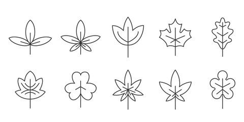 Set of Leaves in thin line style. Outline leaves