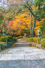Japanese Landscape