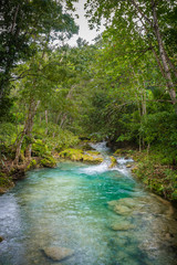 Water flowing through river stream in the mountains of a beautiful tropical Caribbean island. Gushing flow in lush rural countryside outdoor setting with scenic green trees/ plants/ foliage.