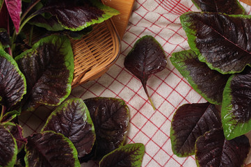 Fresh amaranth leaves white preparation for cook