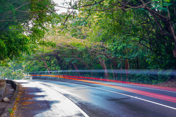 Obraz premium Car/ vehicle light streaks along rainy wet main road covered with tree canopy above. Asphalt street in beautiful island countryside setting during rainy season.
